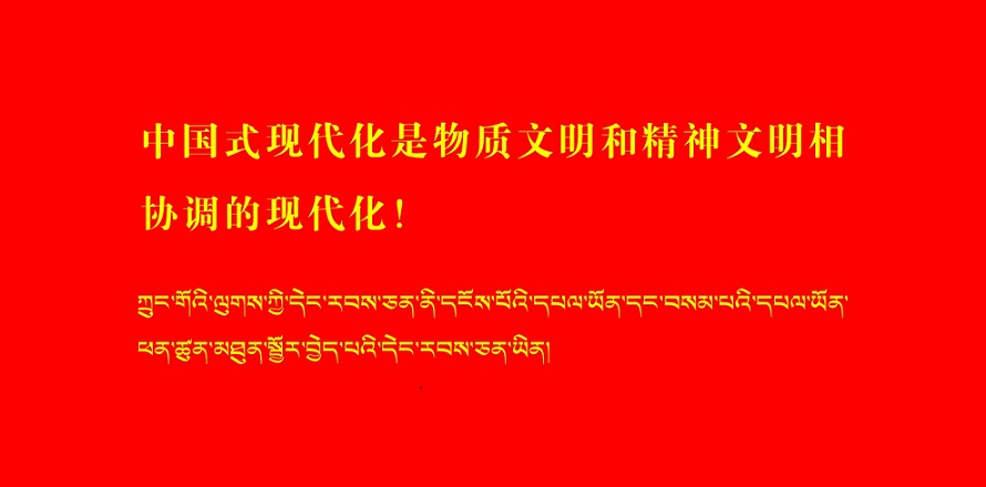 中国式现代化是物质文明和精神文明相协...