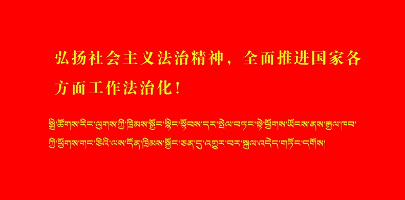 弘扬社会主义法治精神，全面推进国家各...