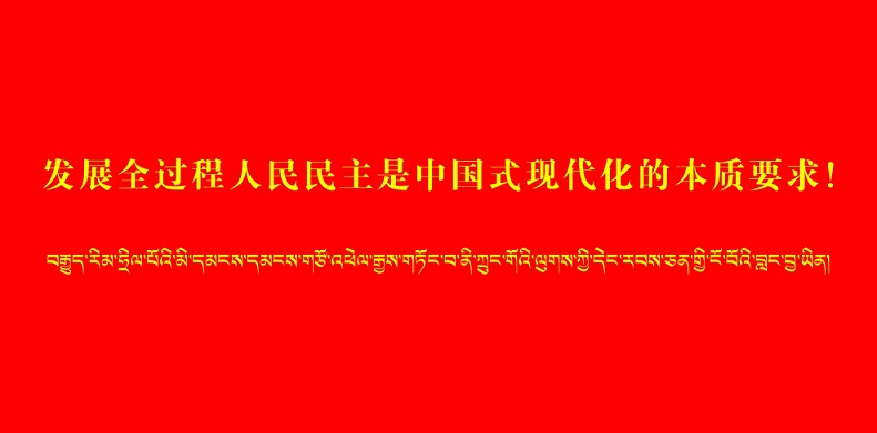 发展全过程人民民主是中国式现代化的本...